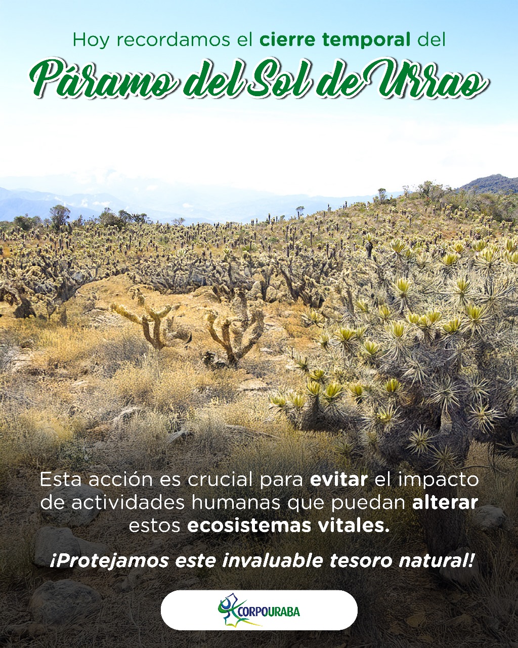 Paisaje de Urrao - Páramo